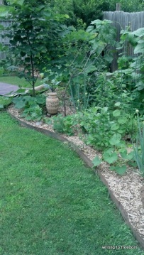 veggie garden
